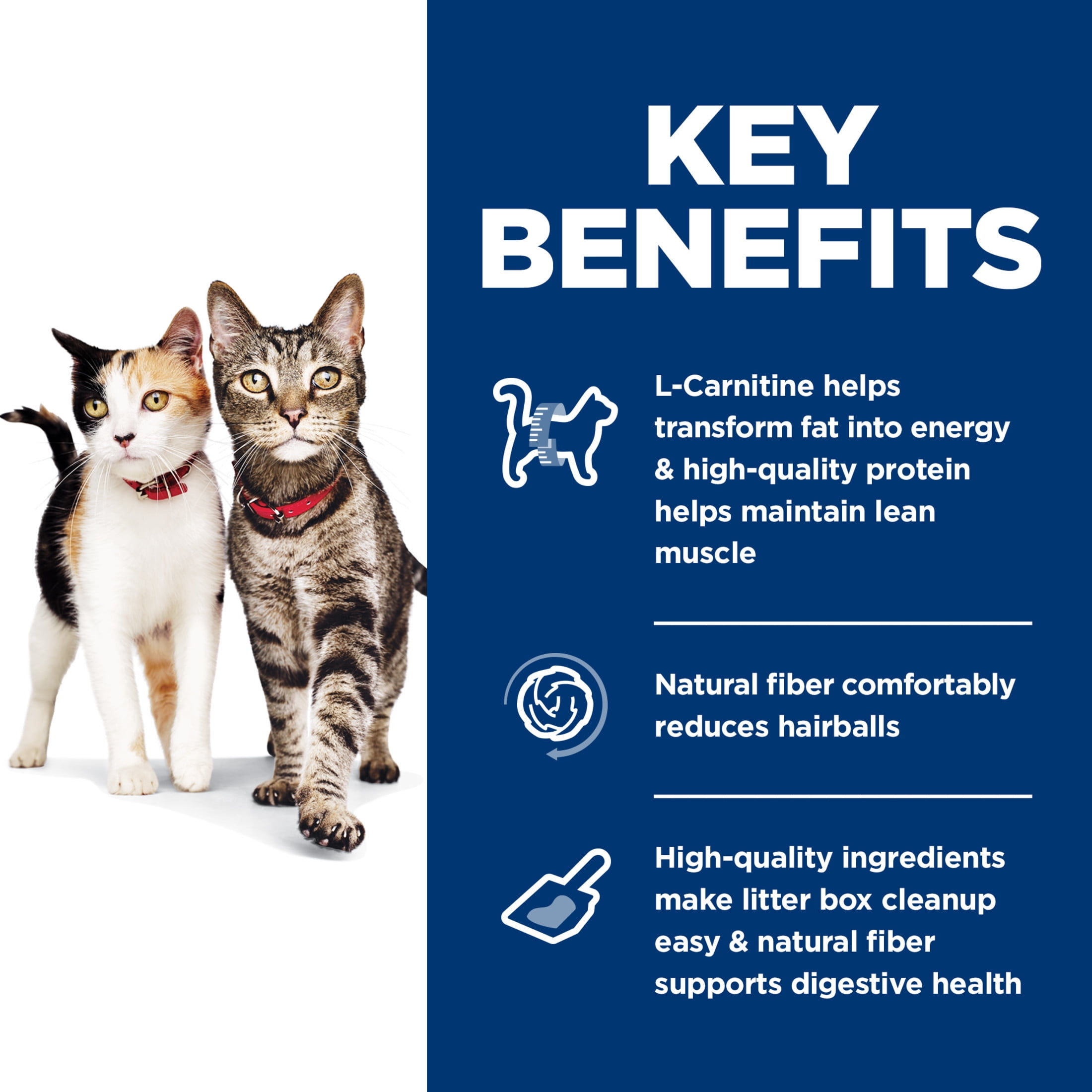 Hill's Science Diet Multiple Benefit Chicken Dry Cat Food, 7lb Bag