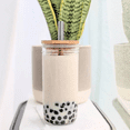 thumbnail image 2 of Juego de Vasos de vidrio cristal ecomlab 4 pack con tapa y popote 500 ML, 2 of 7