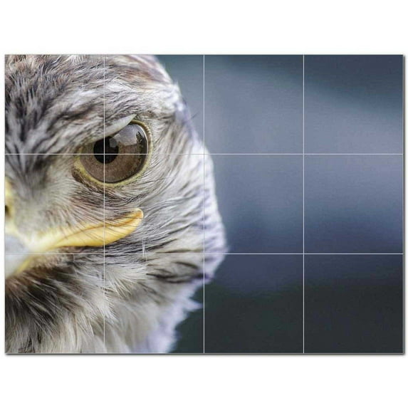 Bird Ceramic Tile Mural Kitchen Backsplash Bathroom Shower 402184-L43