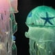 thumbnail image 5 of Fiudx Luces de Medusas, Kit de Materiales para Crear Una Decoración Única, Centro de Mesa Llamativo para Fiestas, Hermosas Decoraciones Colgantes para Bodas, Eventos con Temática Submarina, Fácil Mon, 5 of 5