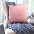 thumbnail image 6 of Dvumao 17.7x17.7 Inch Velvet Throw Pillow for Living Room, Decorative Cushion for Sofa and Bed, Includes Insert, 6 of 7