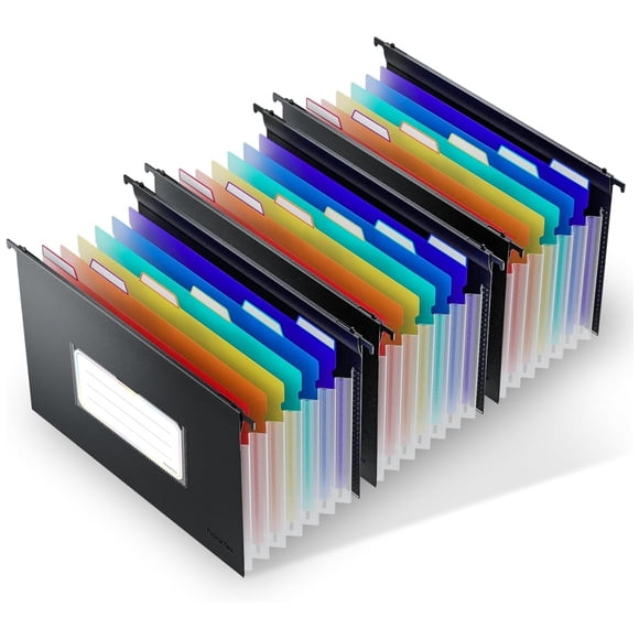 ThinkTex Plastic Expanding Hanging File Folders,