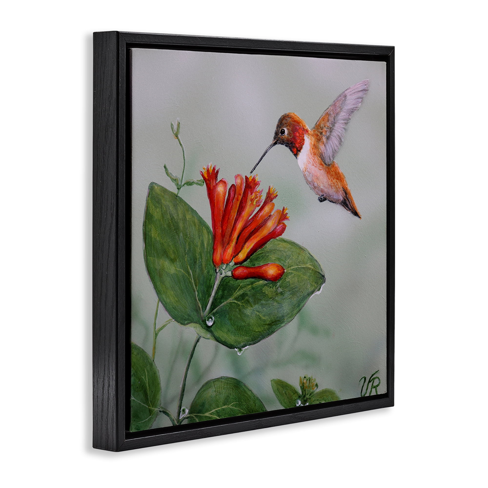 Stupell Industries Red Hummingbird & Flower Animals Painting Black Floater Framed Canvas Art Print Wall Art, 18 x 18