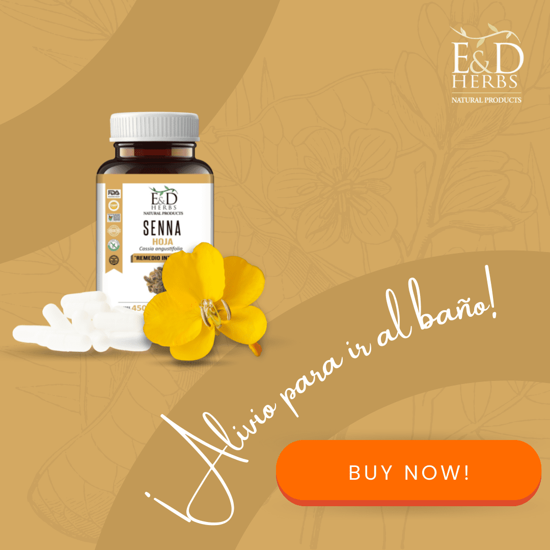 E&D Herbs 60 Senna Capsules Of 450 Mg For Intestinal Remedy
