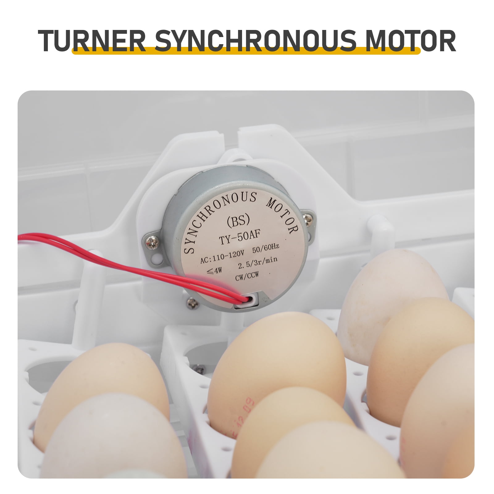 2 in 1 Incubator Chicken Duck Bird Auto-Turning Digital Control 112 Eggs