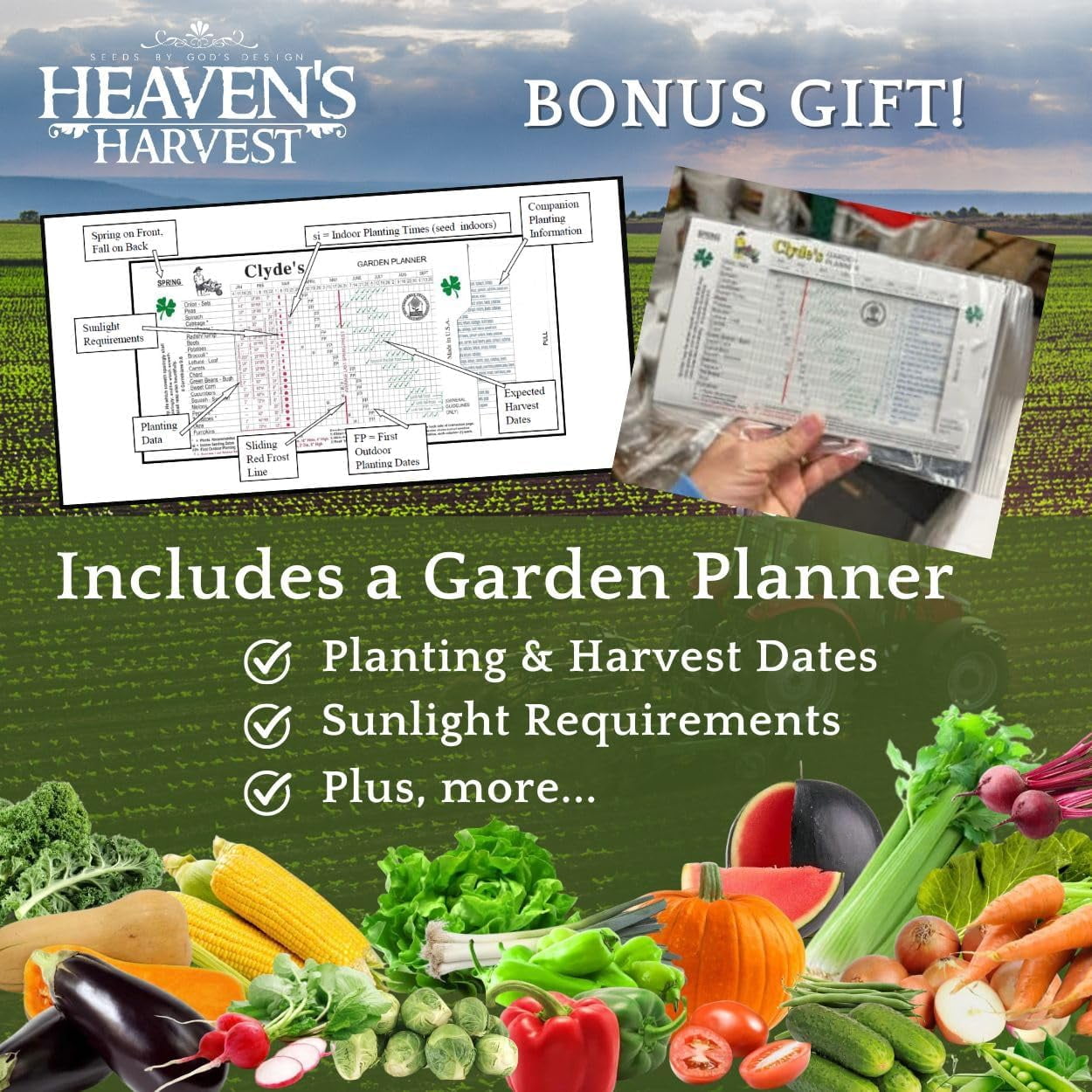 Heavens Harvest 10+ Year Survival Seed Bank Kit | Over 75,000 Non-GMO Heirloom Vegetable Seeds for Planting an Outdoor Garden