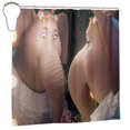 thumbnail image 2 of Movie Sing 2 Shower Curtain Sets, Funny Bathroom Shower Curtains, Waterproof Fabric for Bathroom Decor Bathtub with 12 Hooks 72x72in, 2 of 8