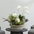 thumbnail image 4 of Nearly Natural 20in. Orchid & Succulent Garden Artificial Plant in Decorative Vase, 4 of 6