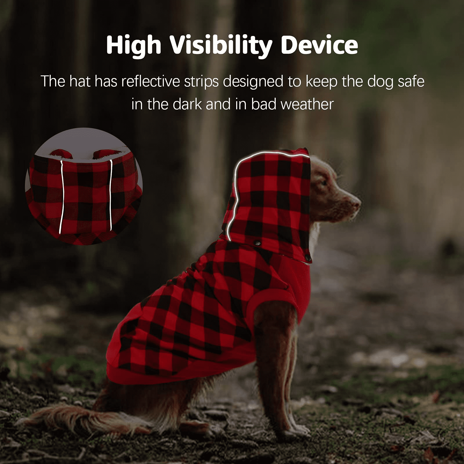 Are Dog Clothes Bad For Dogs