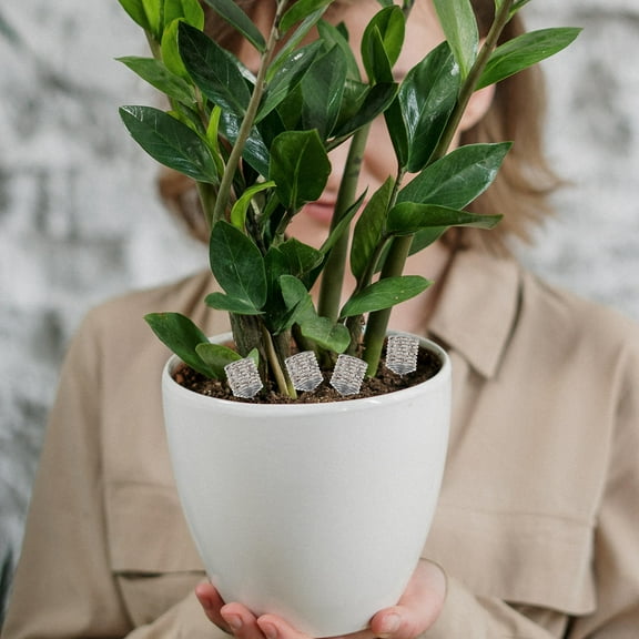 Homoyoyo 6-Pack Slow Release Stainless Steel Fertilizer Baskets for Garden Plants and Balcony