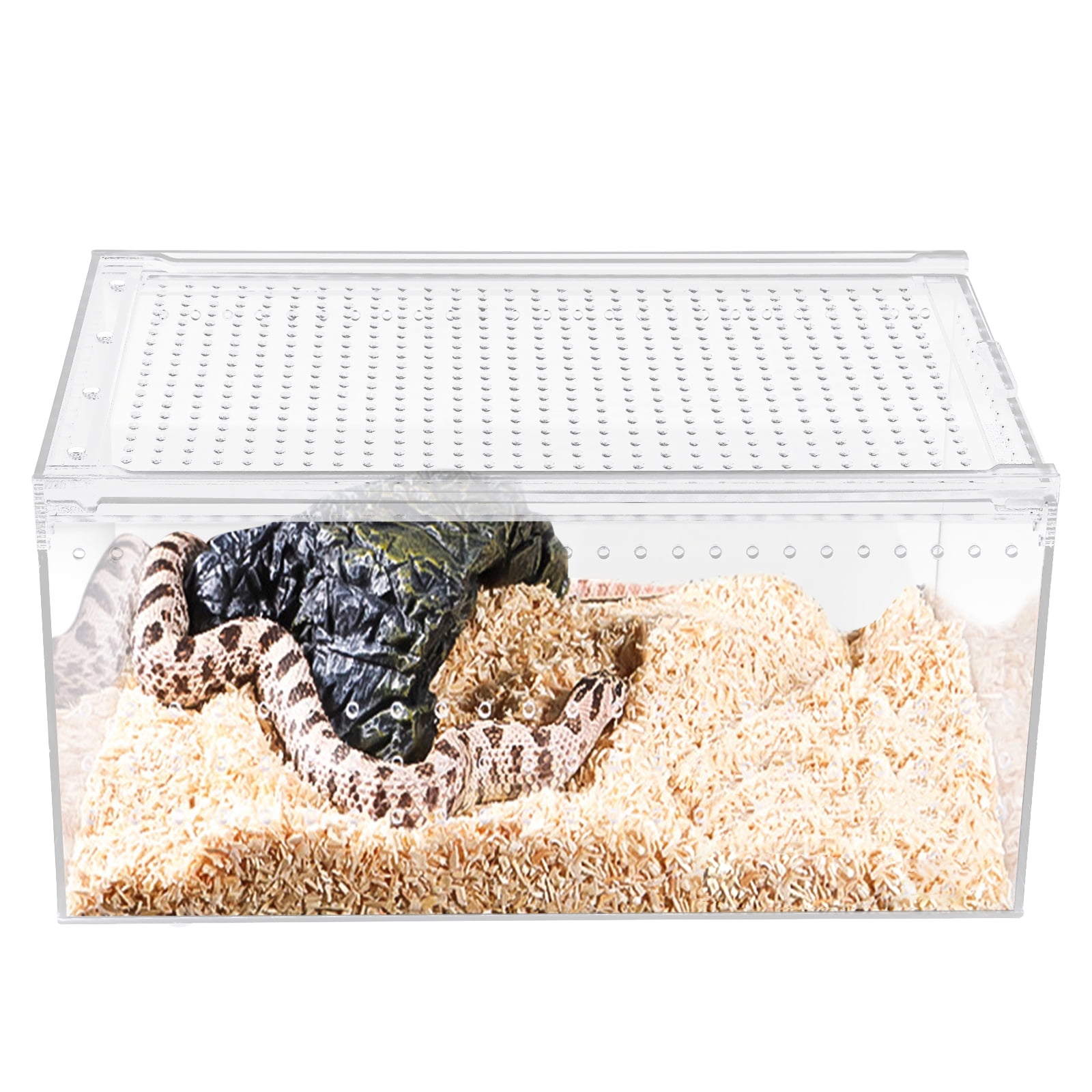 Buy Reptile Feeding Box Portable Small Snake Terrarium Habitat Mini Pet