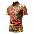 thumbnail image 1 of Camisas de manga corta estampadas delgadas casuales de primavera y verano para hombres Blusa de playa superior Pompotops oipoqjl25536, 1 of 5