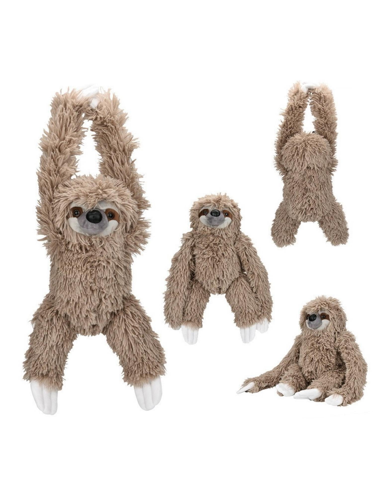 sloth soft