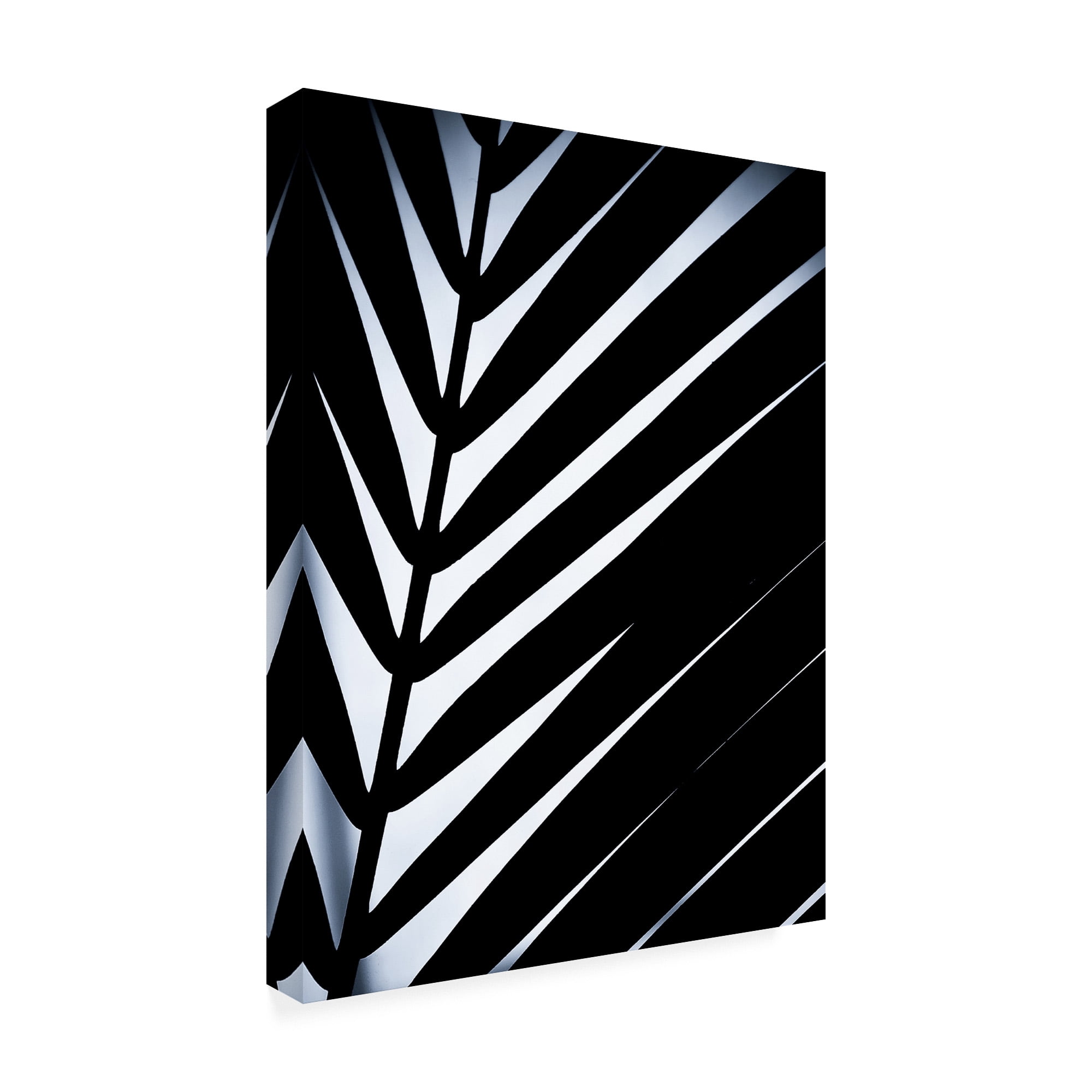 Trademark Fine Art 'Close up VI' Canvas Art by Incado