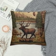 thumbnail image 2 of JEUXUS  Rustic Bear Pillow Covers Square Country Deer Pillow Covers Indoor and Outdoor Throw Pillow Covers Decorative for Couch/Bed/Living Room, 2 of 5