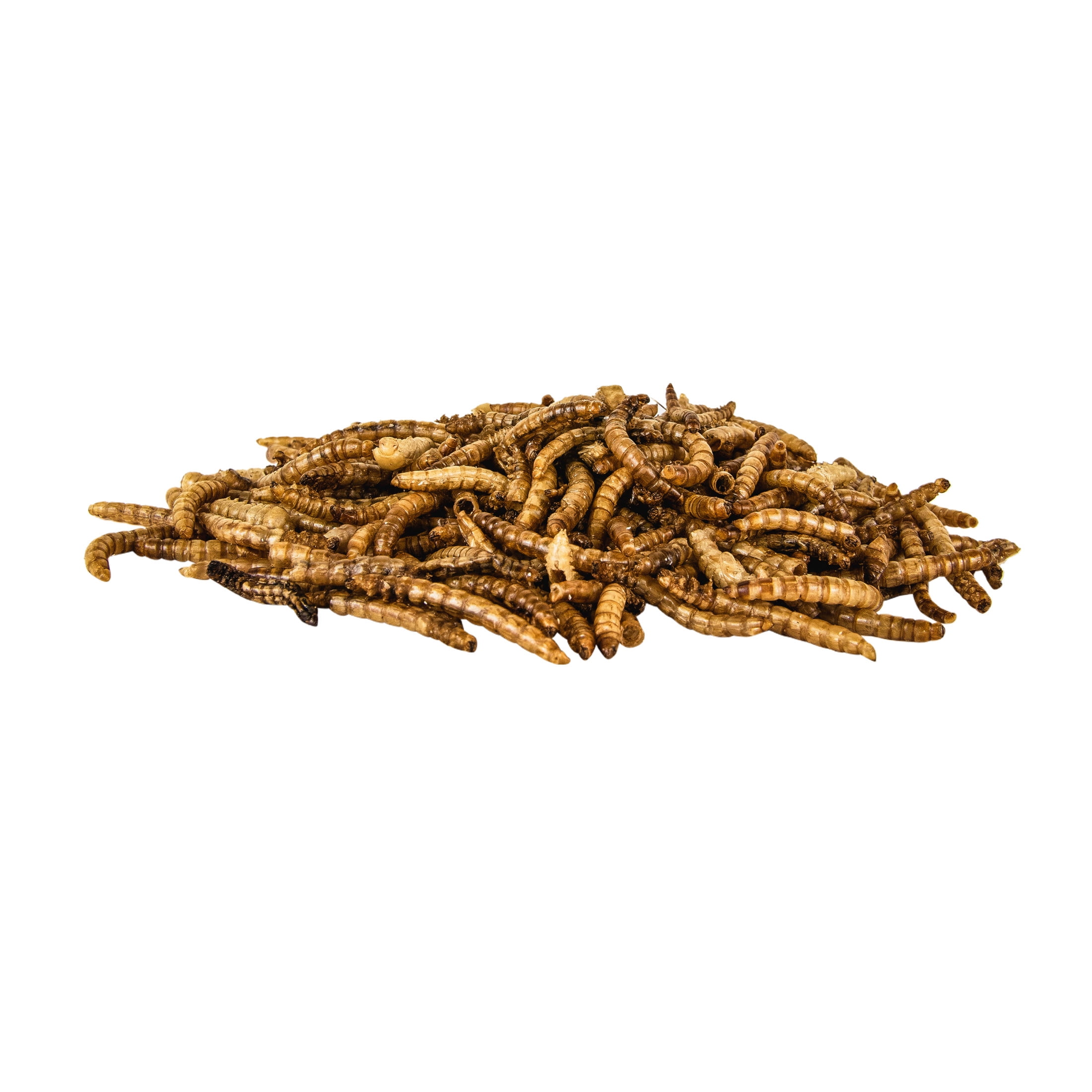 Pennington Select Mealworms, Bluebird and Wild Bird Food, 5 lb. Bag, 1 Pack, Dry