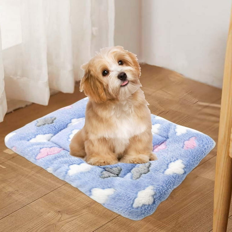 Pet bed mat hotsell