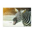 thumbnail image 1 of Funny Zebra Silly Zebra Scene Outside Wall Art Ready to Hang Unframed, 1 of 6