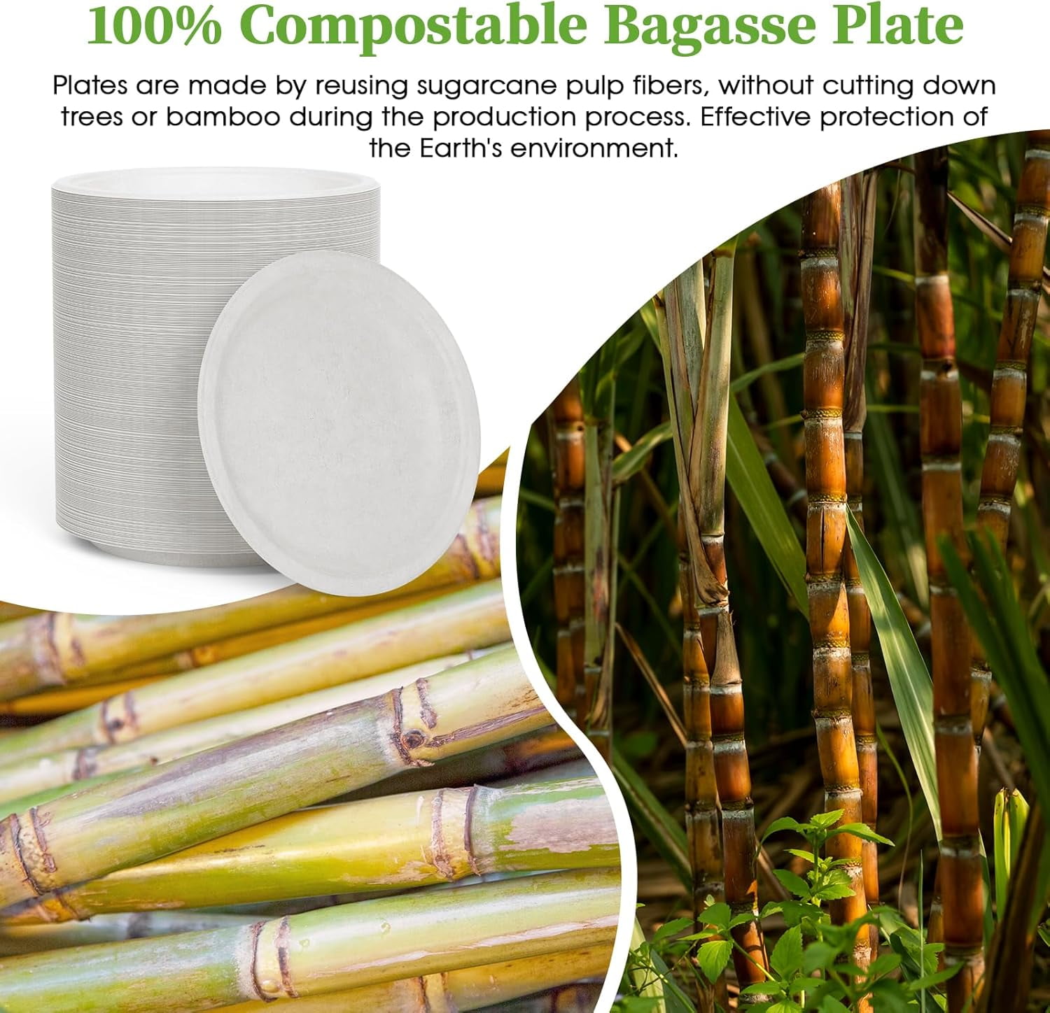 6 Inch Disposable Compostable Small Paper Plates, 200 Pack Recycled Sugarcane Bagasse Biodegradable Heavy Duty Mini Dinner Appetizer Cake Dessert Plates for Party(White)