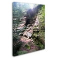 thumbnail image 2 of Trademark Fine Art "Powerful Walls" Canvas Art by Monica Fleet, 2 of 3