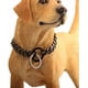 thumbnail image 5 of Rumypet Collar De Cadena Para Perro Negro Cadena De Eslabone, 5 of 6