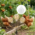 thumbnail image 4 of Bird Feeders Chicken Dispenser Enrichment Ground Stake Feeder For Coop Hens Geese Turkeys Poultry 2pc Package 2PCS, 4 of 6