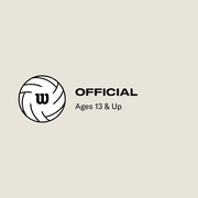 Wilson Pro Tour Indoor Volleyball - Black/White, Official Size