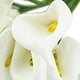 thumbnail image 5 of 96Pcs Mini Calla Ramo de Flores Artificiales Decoración de la Boda DIY Guirnalda Regalo, 5 of 6
