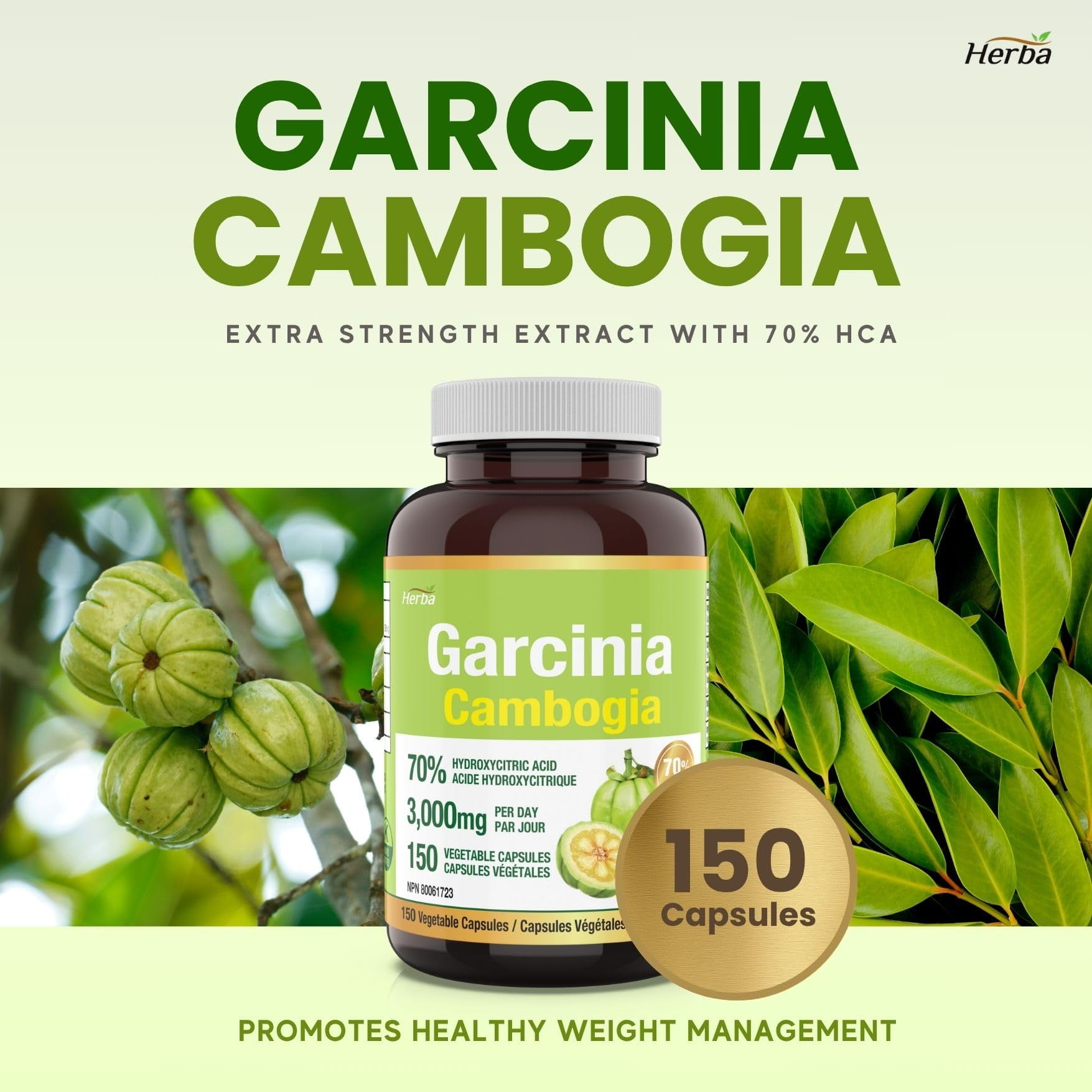 Herba Garcinia Cambogia Extract 750mg – 150 Vegetable Capsules