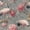 Color 2, variant on Peel and Stick Wallpaper Elegant Cranes Pink Peonies Chinoiserie Floral Grey Wall Mural 17.7in x 9.8ft Self Adhesive Removable Wall Paper Renter Friendly Wallpaper for Nursery Bedroom Cabinets