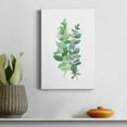 thumbnail image 4 of Eucalyptus II Premium Gallery Wrapped Canvas - Ready to Hang - 12 x 18, 4 of 9
