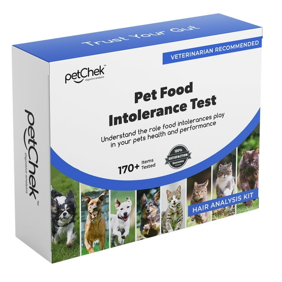 gutChek Intolerance Testing for Pets