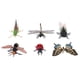 thumbnail image 4 of 6 Piezas de Realistas, Modelo de Animales, Modelo de Juguete, Regalos para , Juguete Educativo CUTICAT Juguete de simulación de insectos, 4 of 8