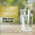 thumbnail image 5 of CoQ10 100mg Softgels - Better Absorption, Antioxidant for Heart Health & Cellular Energy Support - Nature's Co Q10 Vitamins, Non-GMO & Gluten Free, Coenzyme Q10 Supplement - 60 Softgels, 5 of 10