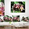 thumbnail image 3 of Designart Beautiful Little Pink White Flowers - Floral Throw Pillow - 16x16, 3 of 4
