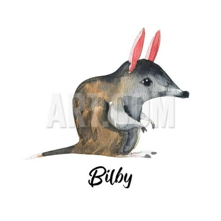 Australian Animals Watercolor Illustration Hand Drawn Wildlife Isolated on a White Background. Bilb Print Wall Art By (Best Wildlife In Australia)