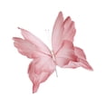 thumbnail image 5 of yotijay Artificial Butterfly Decoration DIY Giant Butterfly for Wedding Bedroom Wall Pink, 5 of 9