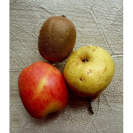 Kiwi Pear - LAMINATED POSTER Fruits Sweet Kiwi Pear Apple Healthy Food Fruit Poster Print 24 x 36
