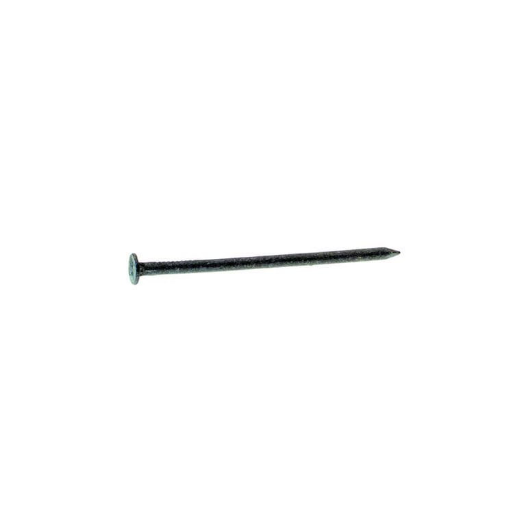 Stallion 10D 3 in. Common Hot-Dipped Galvanized Steel Nail Flat Head 5 lb Stallion 10D 3 in. Common Hot-Dipped Galvanized Steel Nail Flat Head 5 lb