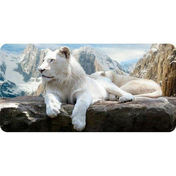 Lions Resting Mountain Scene Photo License Plate