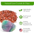 thumbnail image 2 of Creations by Nathalie – DIY Small Terrarium Kit for Succulents, Cacti & Air Plants, Includes Premium Soil, Moss, Pebbles & Tools, Plant Starter Kit, Closed Terrarium Supplies, Handmade in USA, 2 of 5