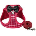 thumbnail image 1 of Puppy Belt, Pet Cat Strap, 1 of 5