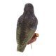 thumbnail image 3 of Estatua de pájaro de resina, esculturas de animales de aves para jardín - Negra, como Negro, 3 of 9