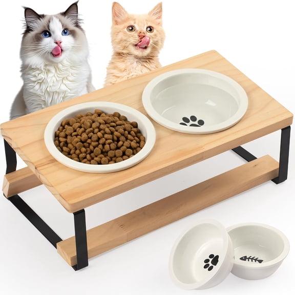 VividGreen Elevated Cat Bowl, 15 Degree Tilted Raised Bowls for Food and Water, with Anti Vomit Feeding Station for Indoor Cats and Small Dogs