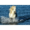 thumbnail image 3 of PHBurchett 24x17 Black Modern Framed Museum Art Print Titled - Blue Sea, 3 of 5