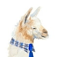 thumbnail image 2 of Loreth, Lanie 15x15 White Modern Wood Framed Museum Art Print Titled - Formal Llama, 2 of 4