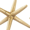 thumbnail image 4 of Elk Home Star Jacks Decorative Object - Set of 3, 4 of 5