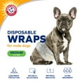 thumbnail image 2 of Arm & Hammer Male Dog Wraps, Medium 12 Ct | Ultra-Absorbent with Leak-Proof Protection, 2 of 10