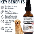thumbnail image 2 of London's Choice (a Canadian Company) - Colloidal Silver Spray for Dogs & Cats, 10ppm Pet Hot Spot & Wound Care, Itch Relief Skin Treatment, Fast-Acting Spray, 59ml (2oz), 2 of 9