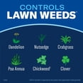 thumbnail image 2 of BioAdvanced Season Long Lawn Weed Killer, Ready-to-Spray, 32oz, Killer for Lawns, 2 of 6